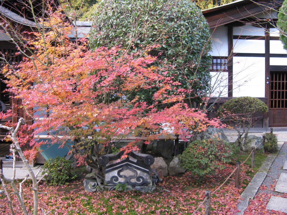 f:id:takerunba:20081207161417j:image:w500