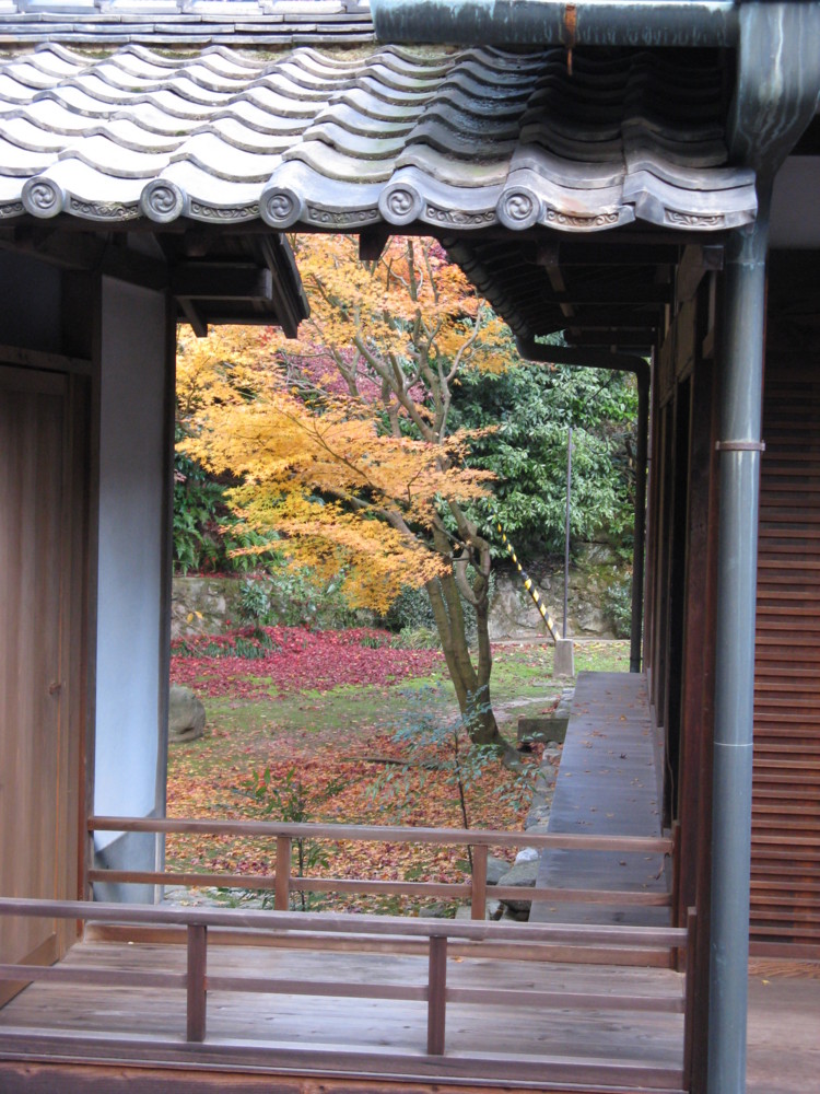 f:id:takerunba:20081207161942j:image:h500