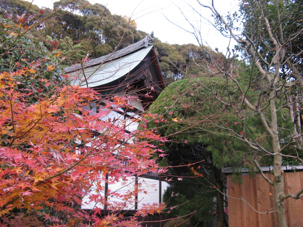 f:id:takerunba:20081207162143j:image:w500