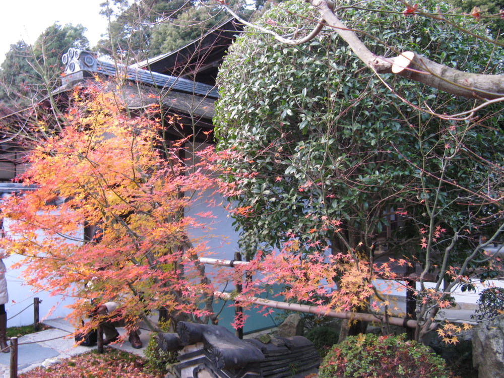 f:id:takerunba:20081207162203j:image:w500