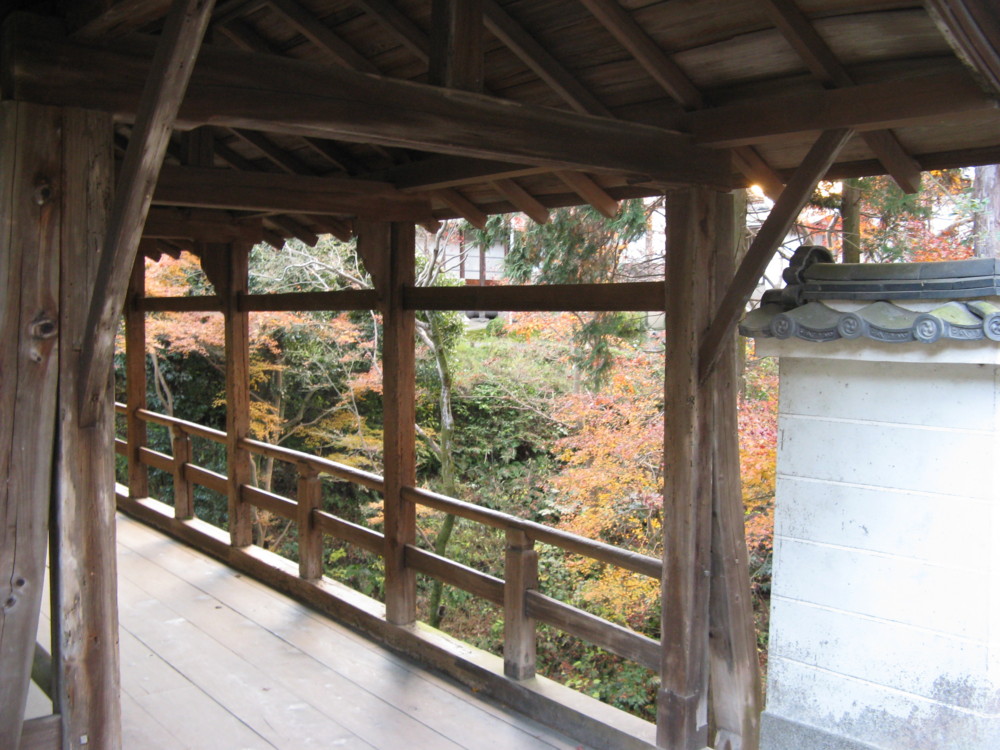 f:id:takerunba:20081207162359j:image:w500