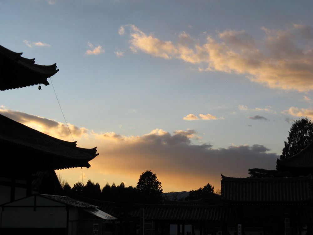 f:id:takerunba:20081207162649j:image:w500