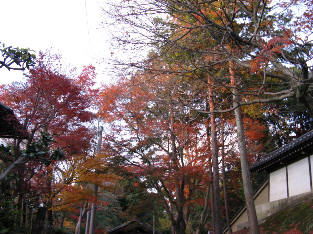 f:id:takerunba:20081207163305j:image:w500