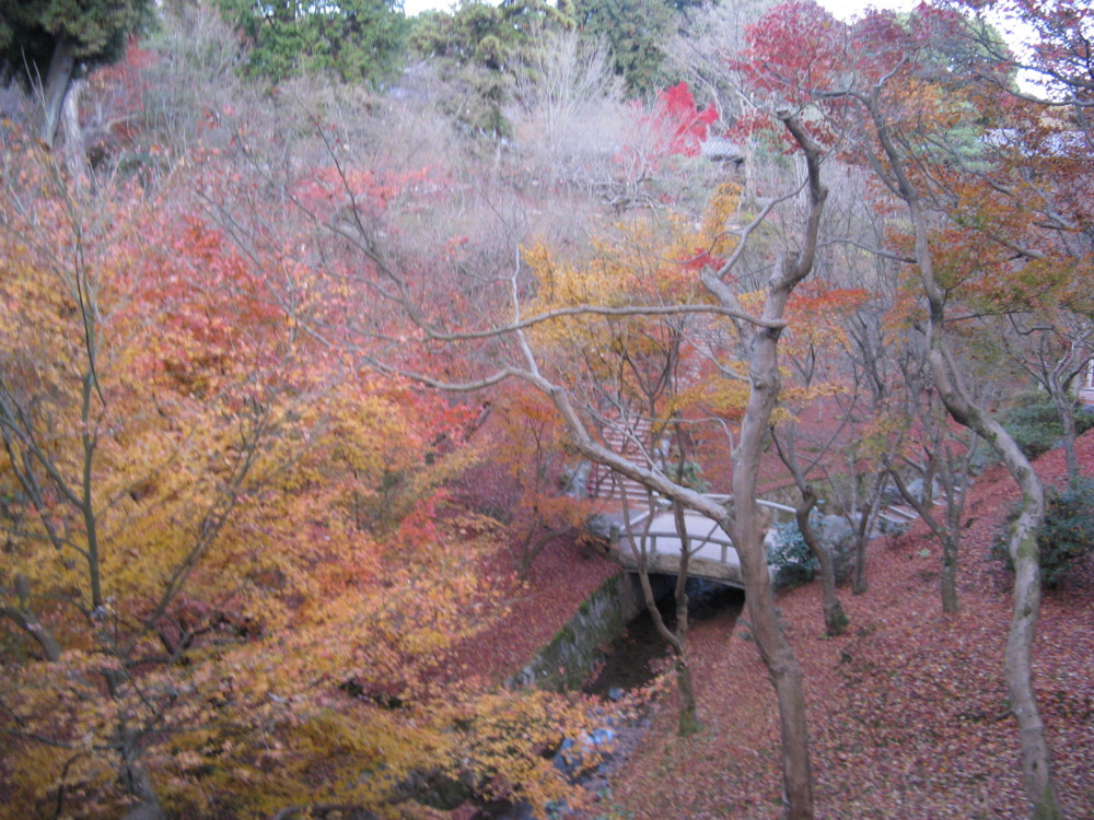 f:id:takerunba:20081207163451j:image:w500
