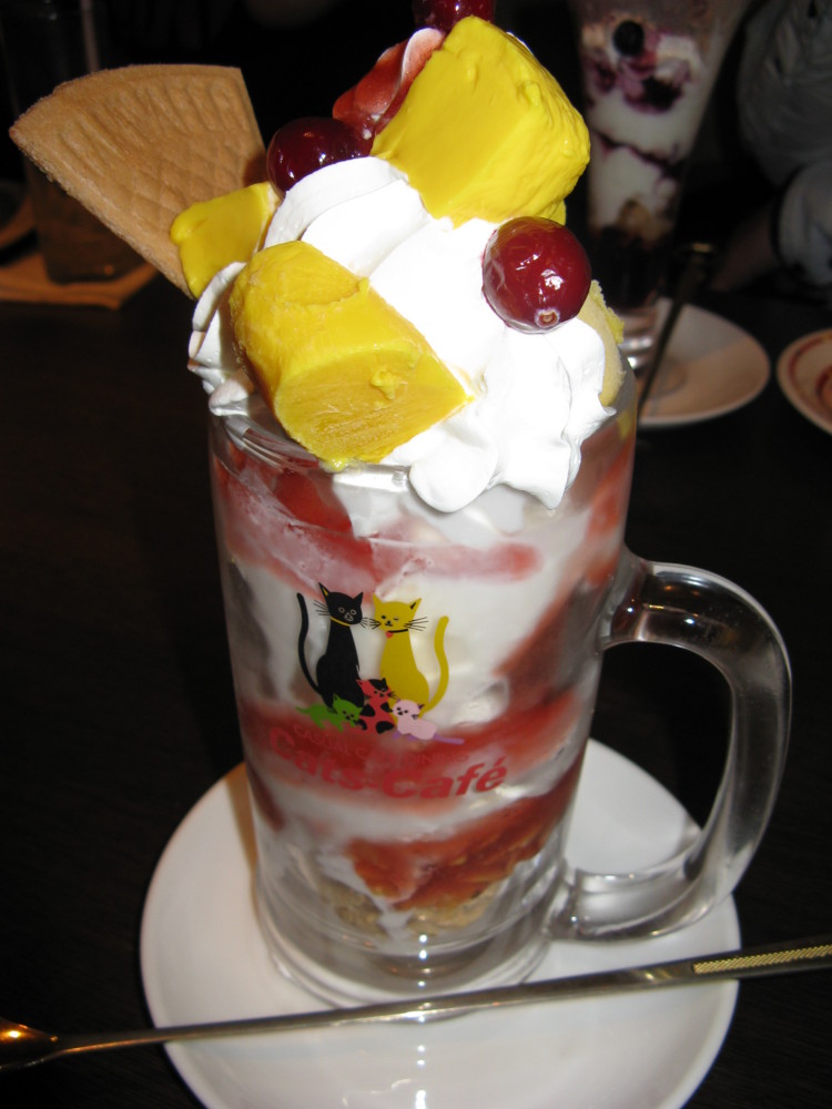 f:id:takerunba:20081224134826j:image:h500