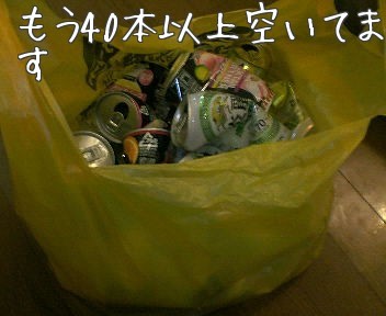 f:id:takerunba:20090101151153j:image