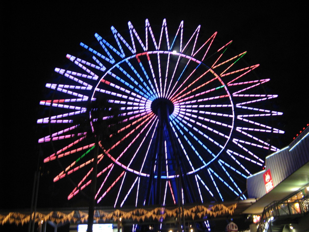 f:id:takerunba:20090113221957j:image:w500