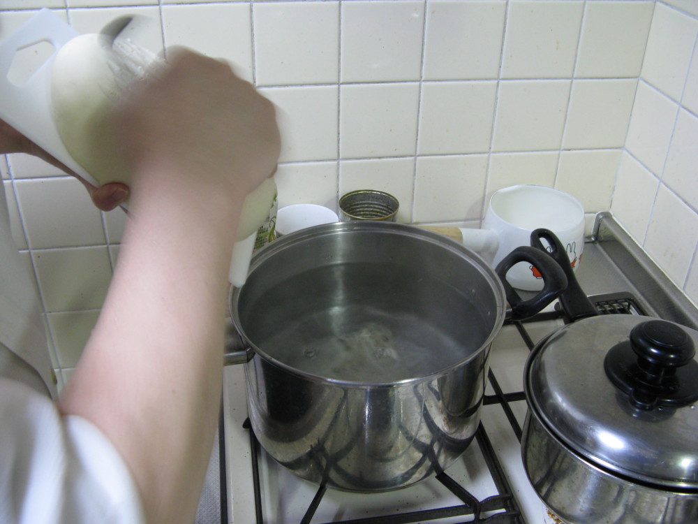 f:id:takerunba:20090126155014j:image:w300