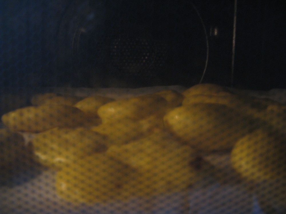 f:id:takerunba:20090126174131j:image:w500