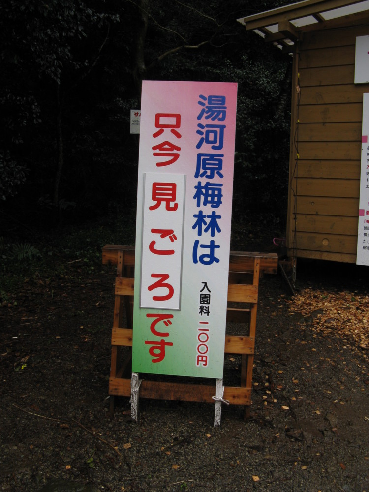 f:id:takerunba:20090226094315j:image:h500