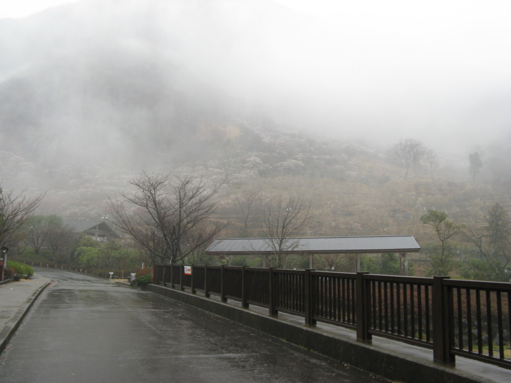 f:id:takerunba:20090226094545j:image:w500