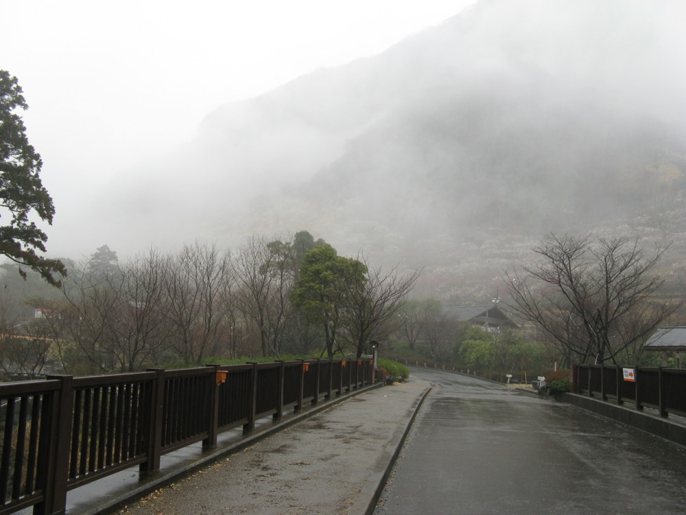 f:id:takerunba:20090226094555j:image:w500