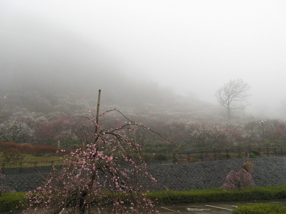 f:id:takerunba:20090226094716j:image:w500