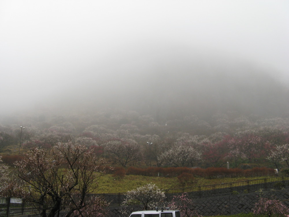 f:id:takerunba:20090226094723j:image:w500