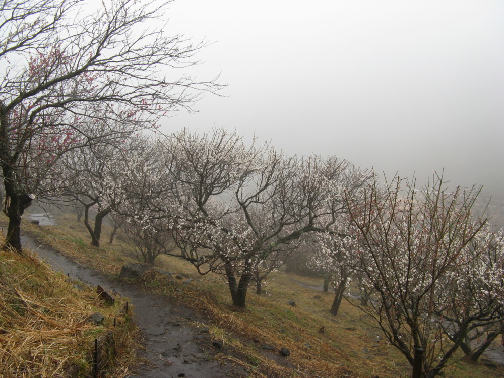 f:id:takerunba:20090226095329j:image:w500