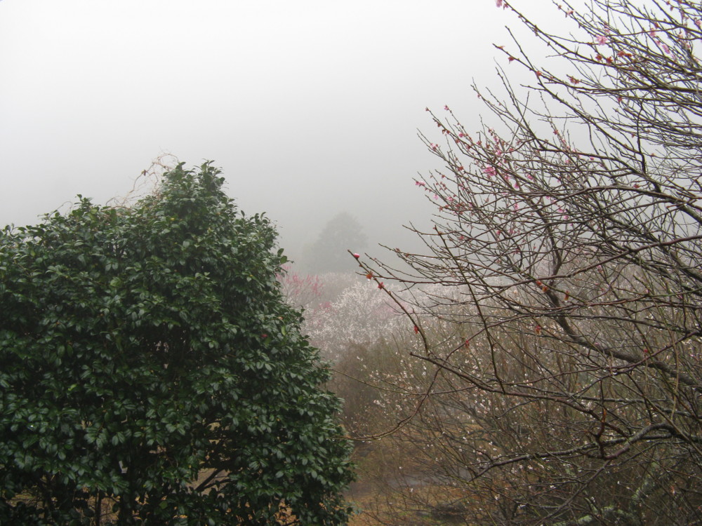 f:id:takerunba:20090226095602j:image:w500