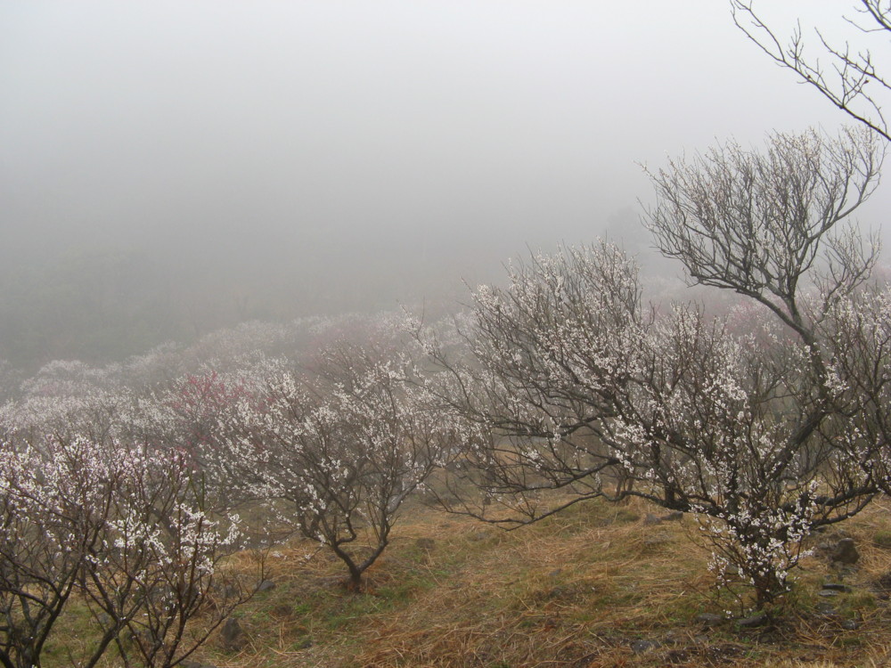 f:id:takerunba:20090226095711j:image:w500