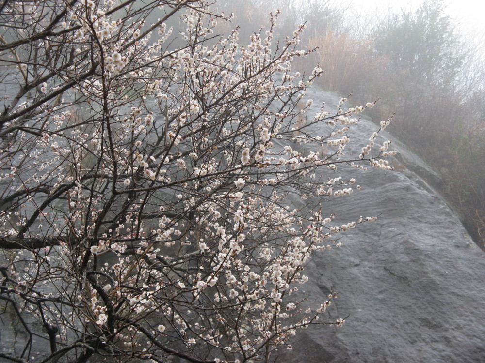 f:id:takerunba:20090226100147j:image:w500