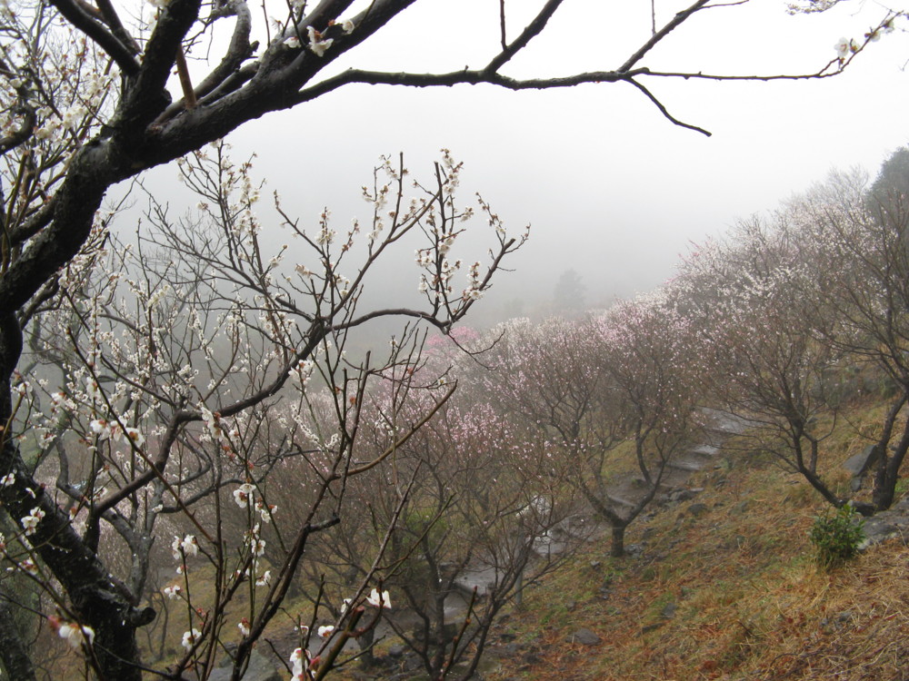 f:id:takerunba:20090226100235j:image:w500