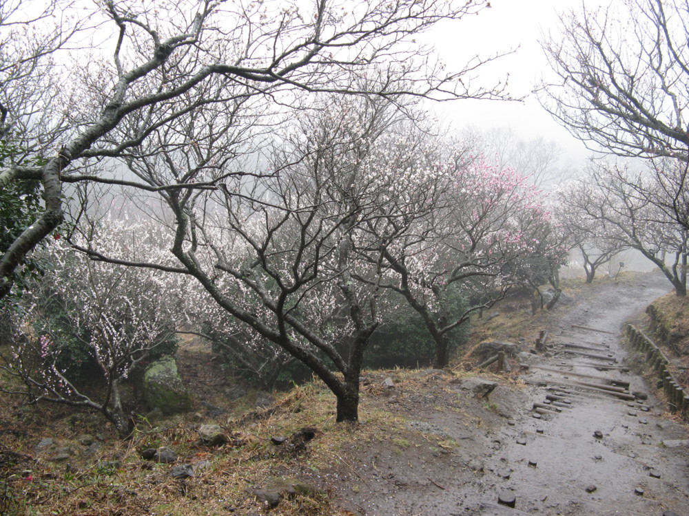 f:id:takerunba:20090226100736j:image:w500