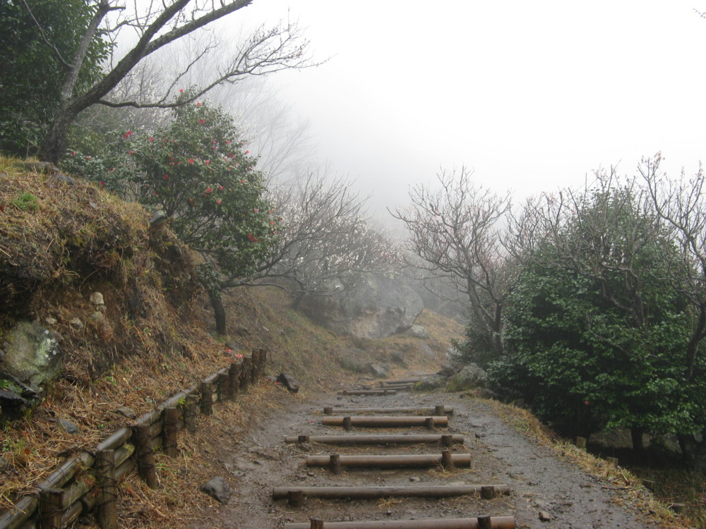 f:id:takerunba:20090226100746j:image:w500