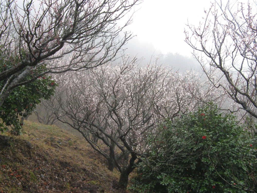f:id:takerunba:20090226100801j:image:w500