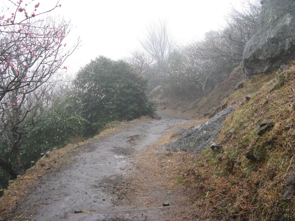 f:id:takerunba:20090226100924j:image:w500