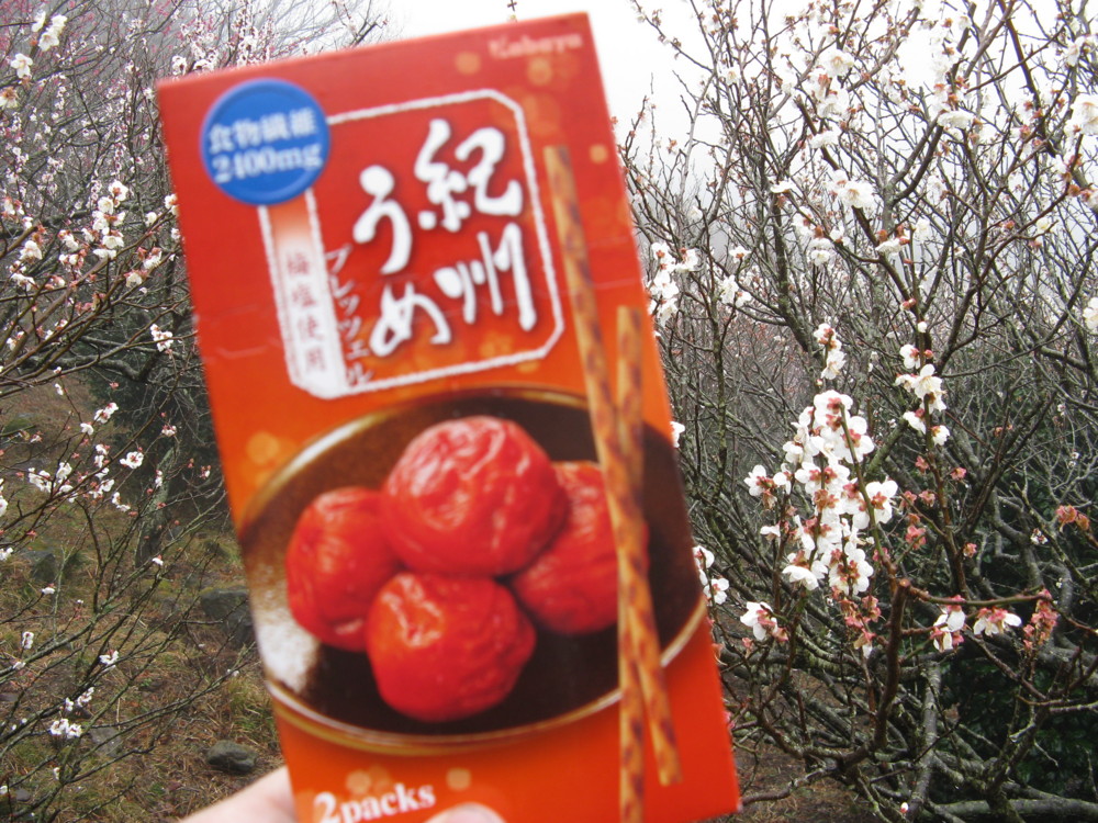 f:id:takerunba:20090226101356j:image:w500