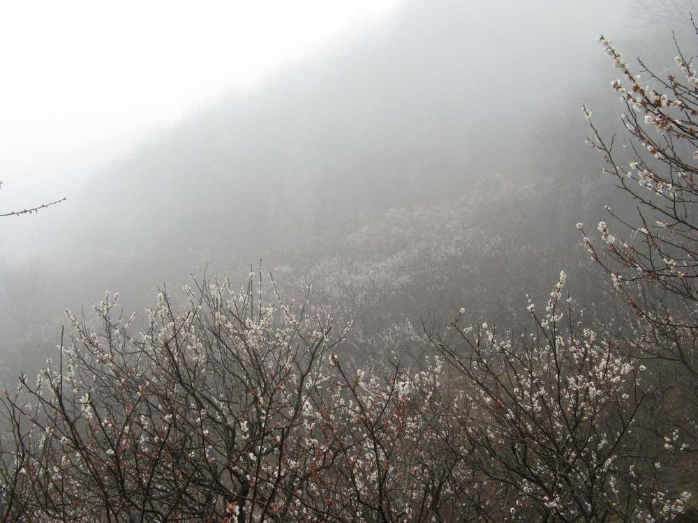 f:id:takerunba:20090226101504j:image:w500