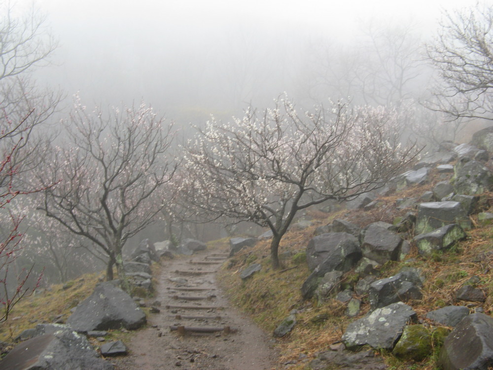 f:id:takerunba:20090226101546j:image:w500