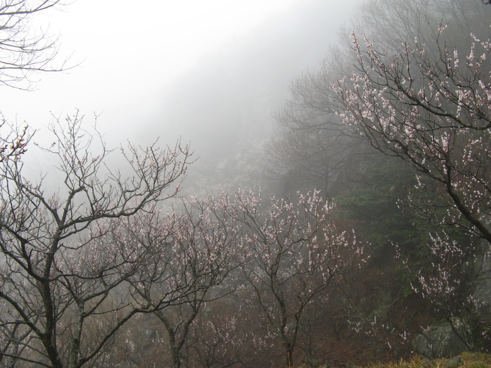 f:id:takerunba:20090226101618j:image:w500