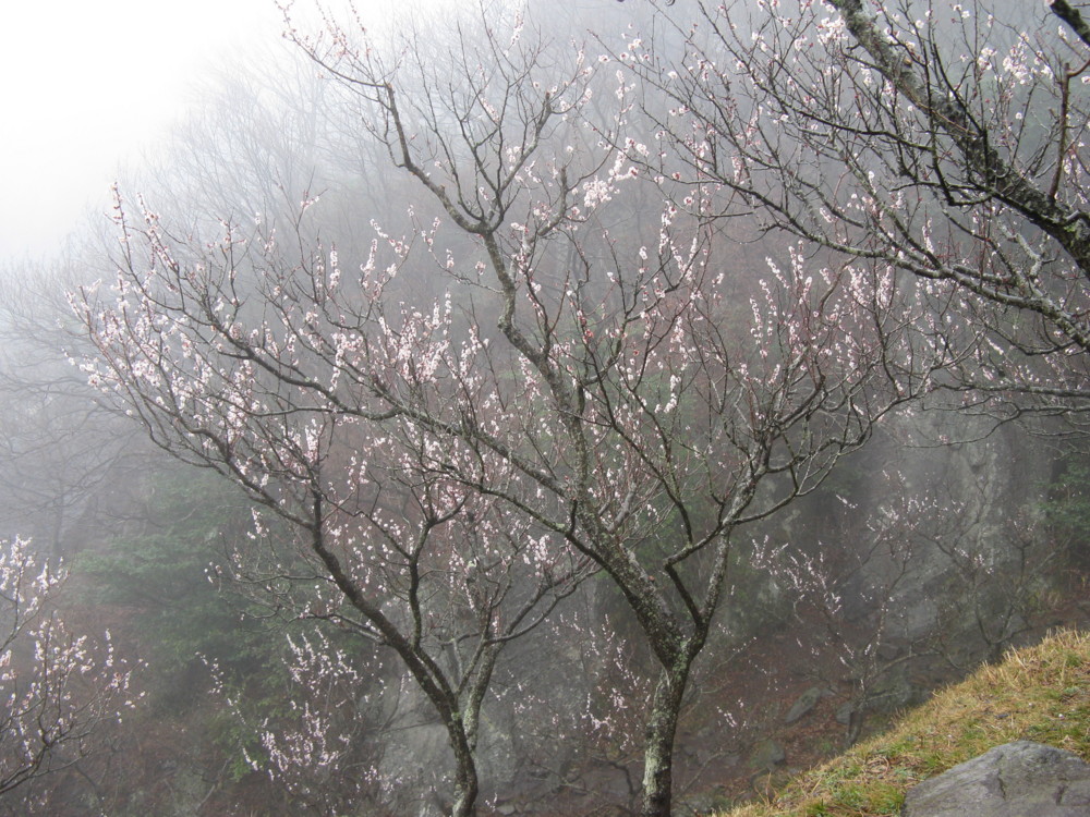 f:id:takerunba:20090226101622j:image:w500