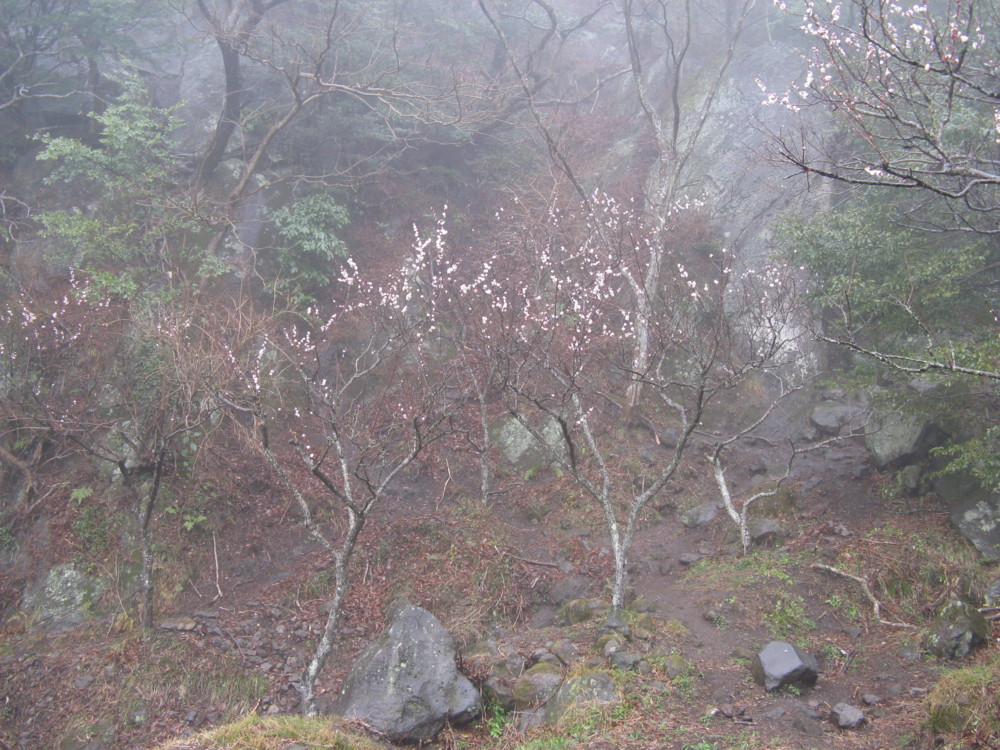 f:id:takerunba:20090226101711j:image:w500