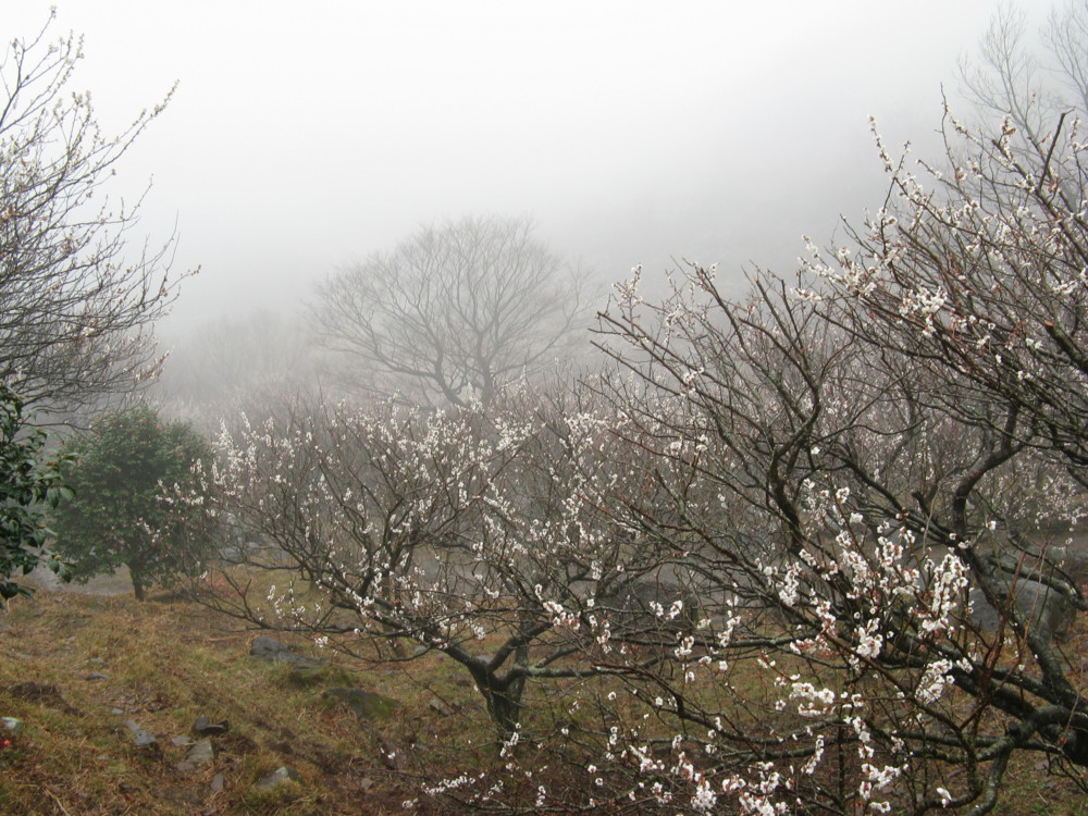 f:id:takerunba:20090226101844j:image:w500