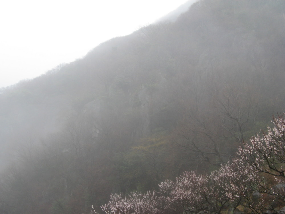 f:id:takerunba:20090226102039j:image:w500