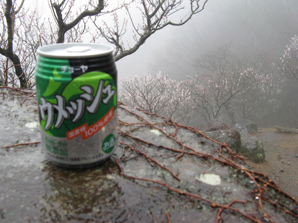 f:id:takerunba:20090226102208j:image:w500