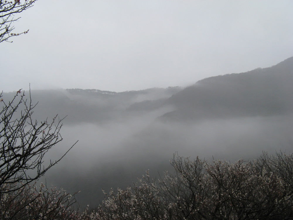 f:id:takerunba:20090226102558j:image:w500