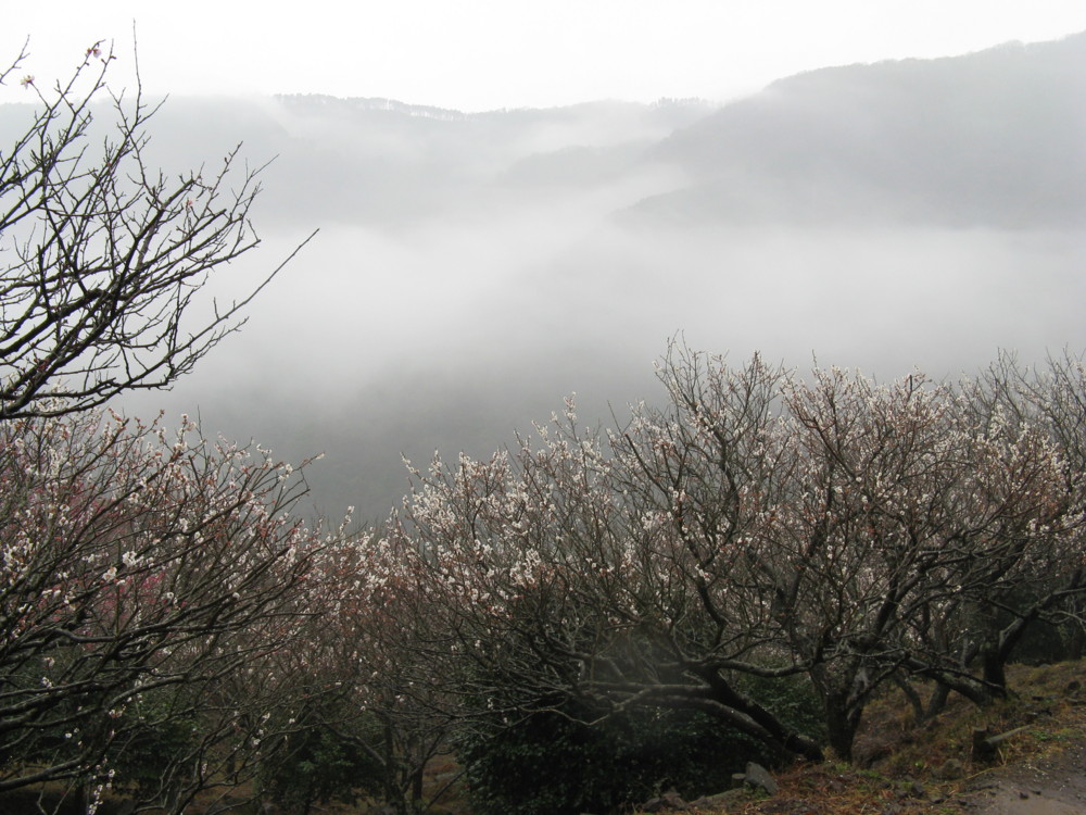 f:id:takerunba:20090226102602j:image:w500