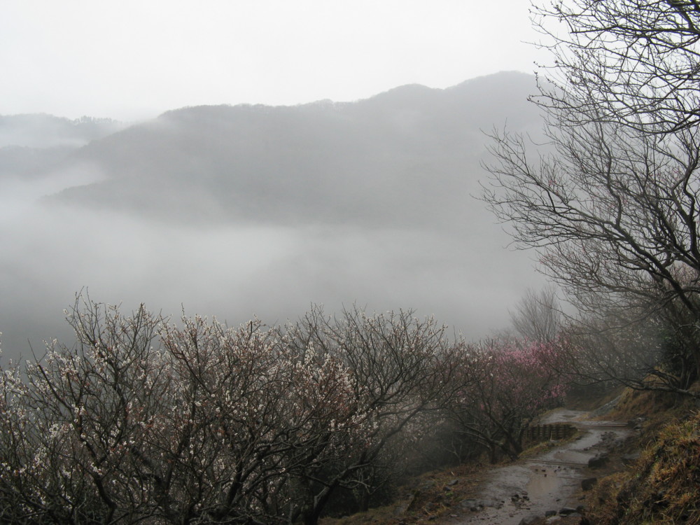f:id:takerunba:20090226102618j:image:w500