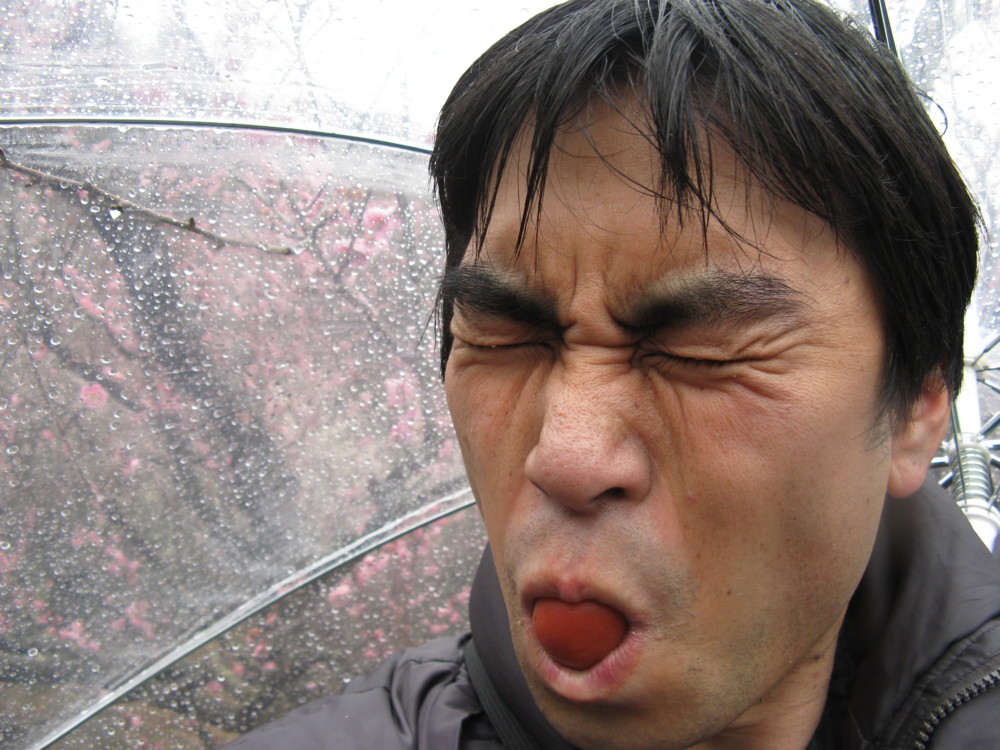 f:id:takerunba:20090226103106j:image:w500