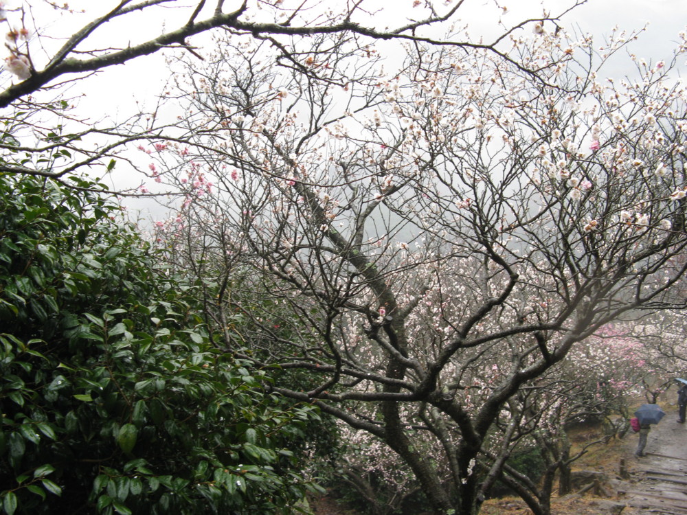 f:id:takerunba:20090226103226j:image:w500