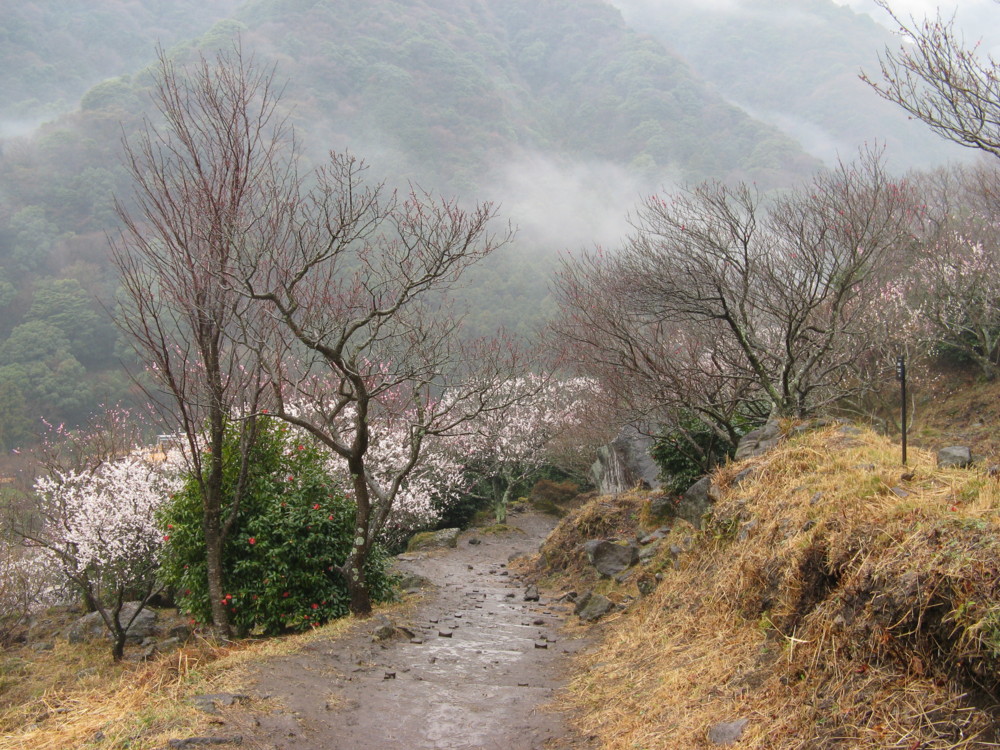 f:id:takerunba:20090226103336j:image:w500