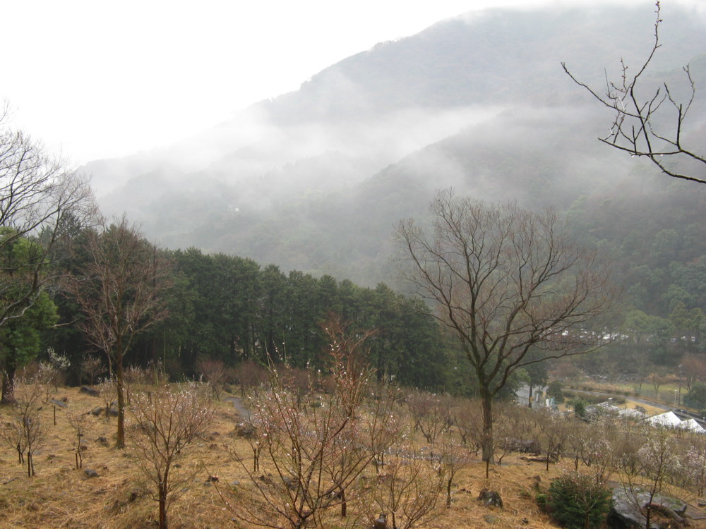 f:id:takerunba:20090226103348j:image:w500