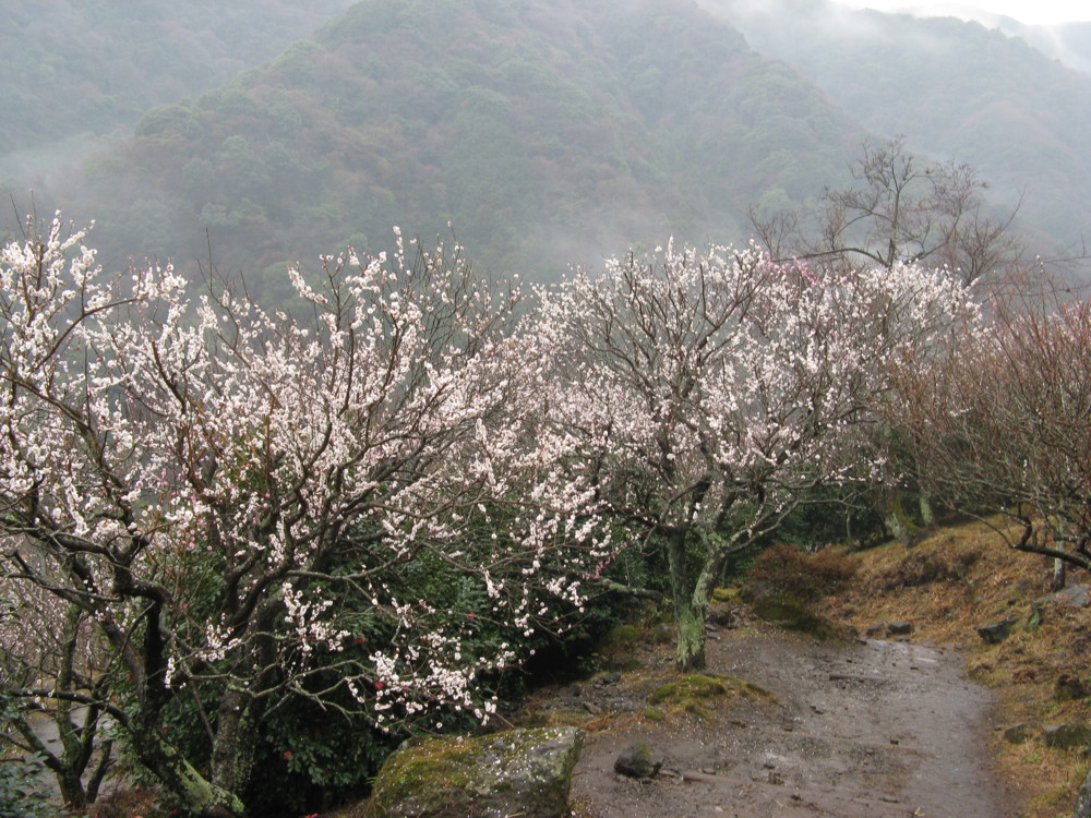 f:id:takerunba:20090226103407j:image:w500