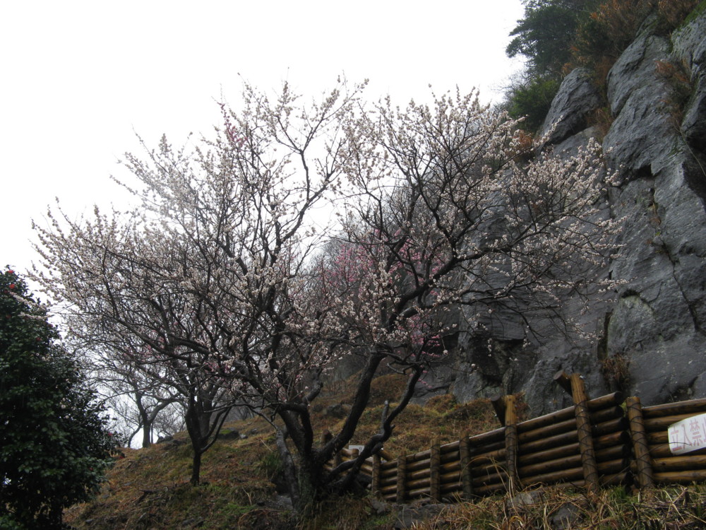 f:id:takerunba:20090226103713j:image:w500