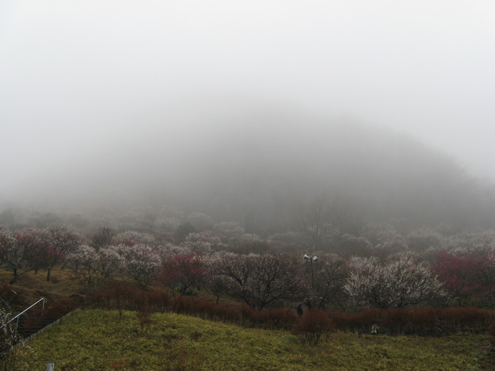 f:id:takerunba:20090226104703j:image:w500
