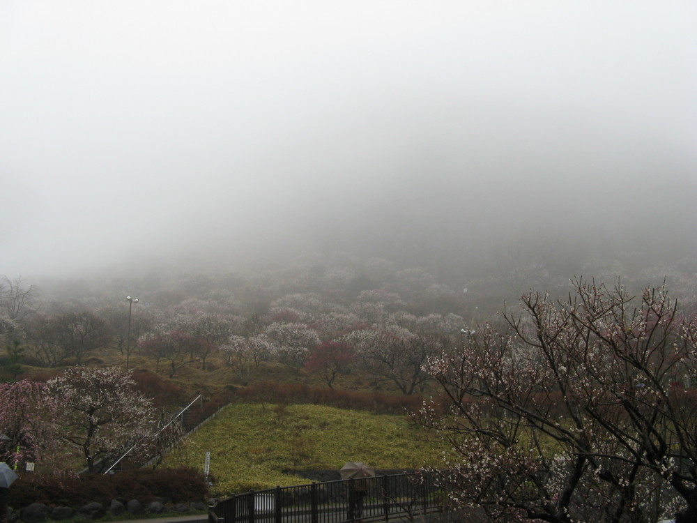 f:id:takerunba:20090226104723j:image:w500