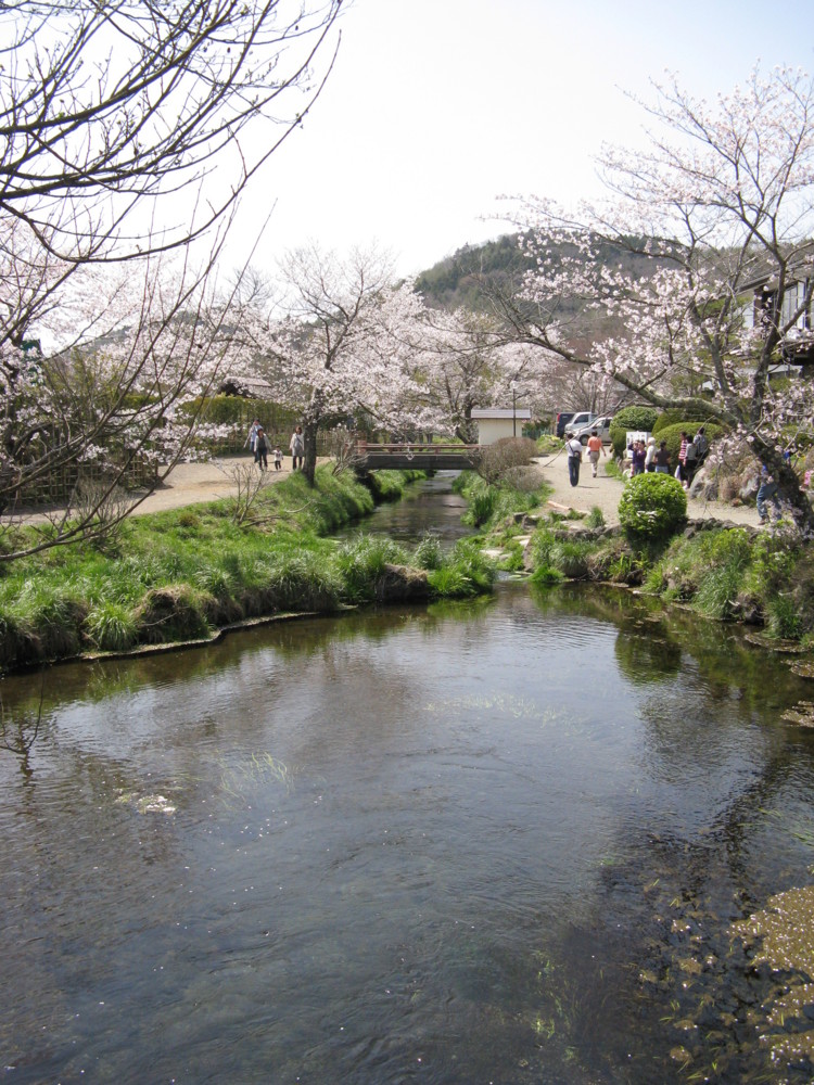 f:id:takerunba:20090420123655j:image:h500