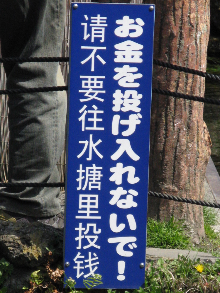 f:id:takerunba:20090420124420j:image:h500