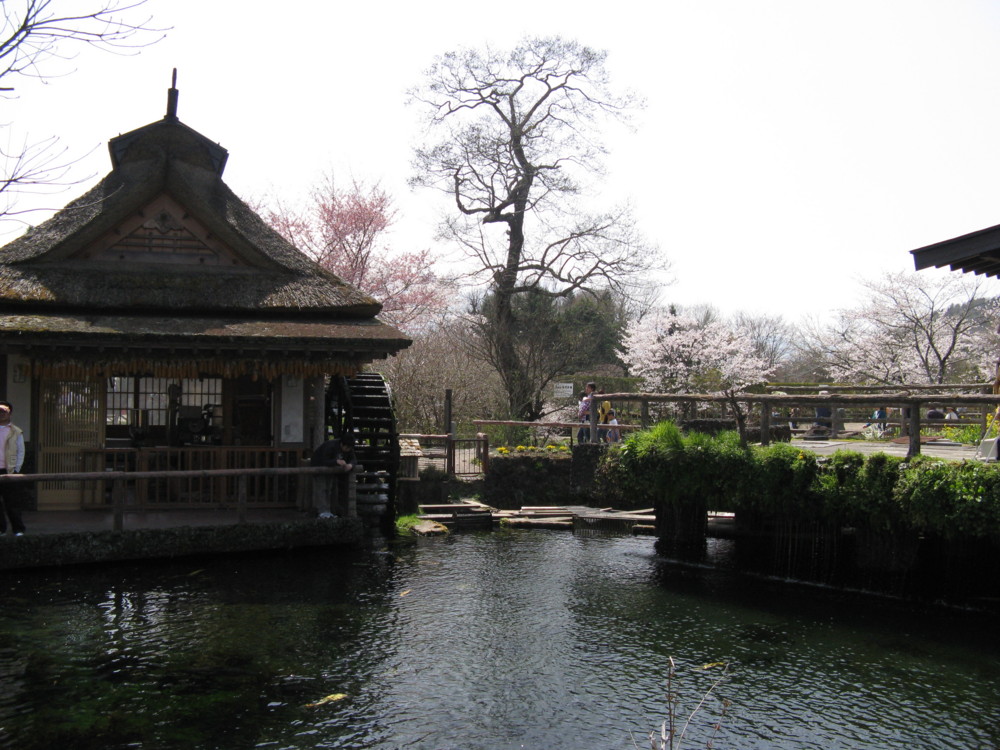 f:id:takerunba:20090420124550j:image:w500